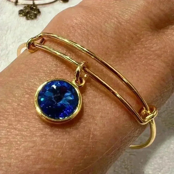 ALEX AND ANI September Birth Month Charm Bangle In Shiny Gold - Picture 3 of 4